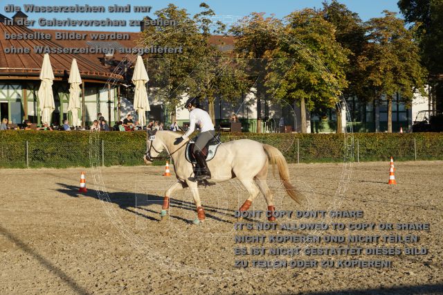 s_DSC06879.JPG